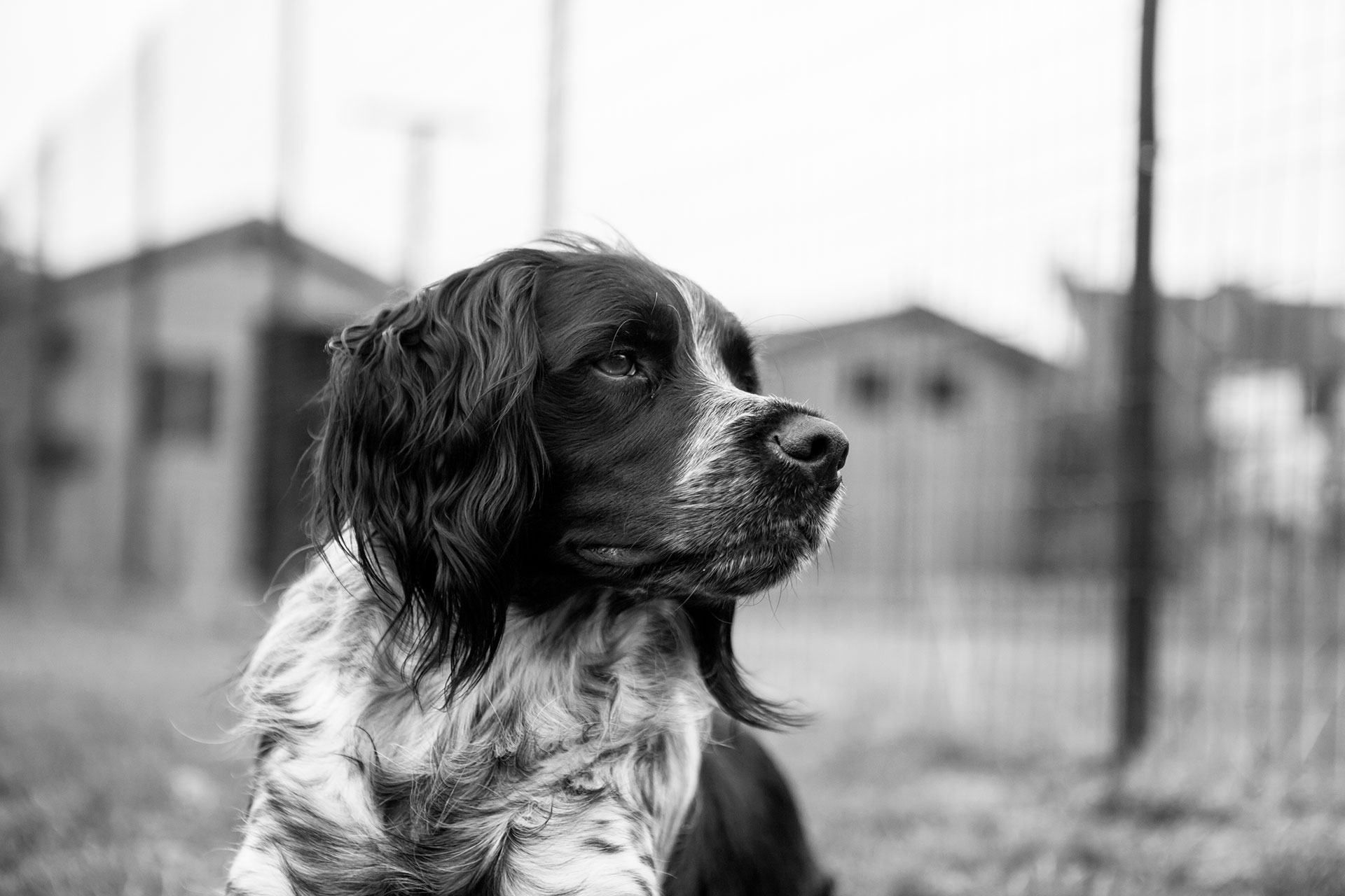 particuliers-portraits-elise&ewald-04